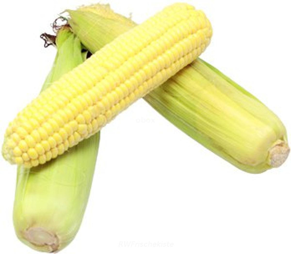 Produktfoto zu Zuckermais Kolben