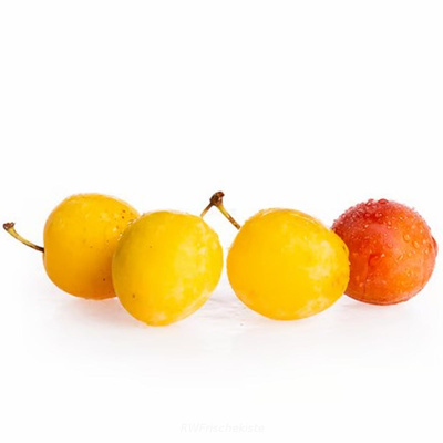 Produktfoto zu Mirabellen