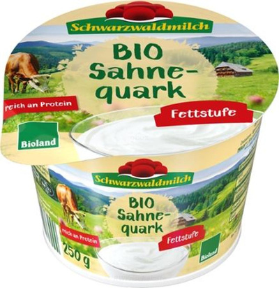 Produktfoto zu Quark 40% Fett 250g