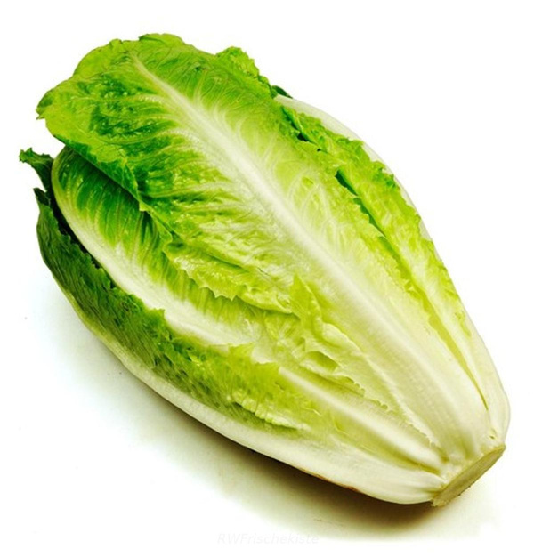 Produktfoto zu Romana Salat Grün