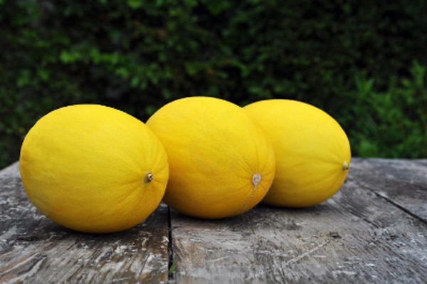 Produktfoto zu Canari Honigmelone