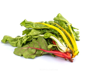 Produktfoto zu Mangold bunt