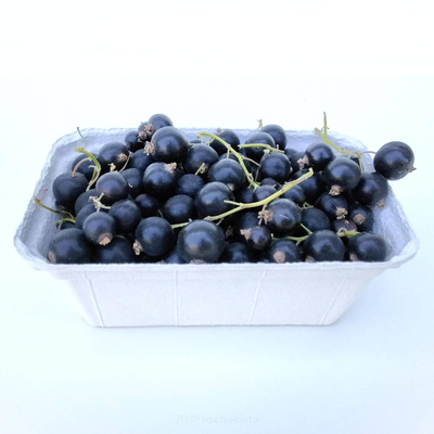 Produktfoto zu schwarze Johannisbeeren 200g