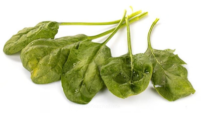 Produktfoto zu Spinat