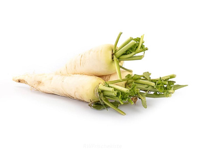 Produktfoto zu Rettich weiß Stück
