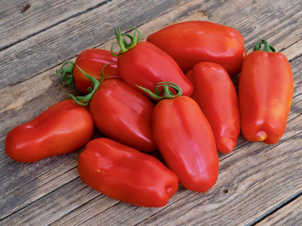 Produktfoto zu Salattomate San Marzano
