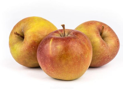 Produktfoto zu Boskoop Apfel