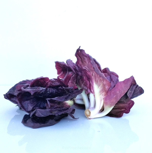 Produktfoto zu Radicchio Roter von Verona