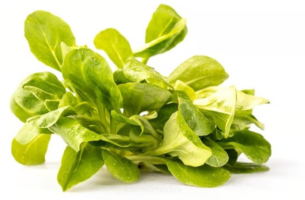 Produktfoto zu Feldsalat