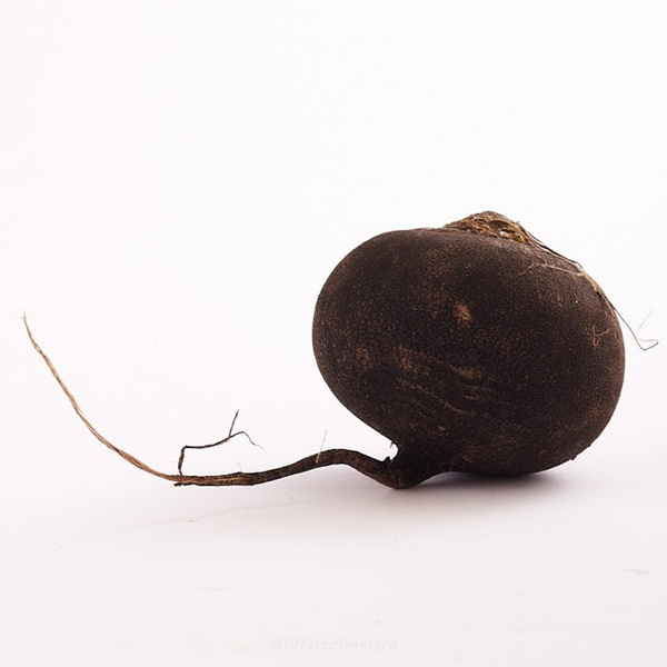 Produktfoto zu Schwarzer Rettich