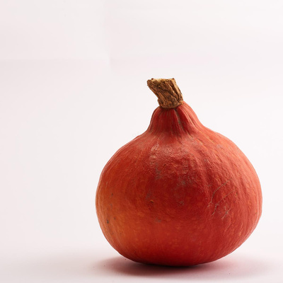 Produktfoto zu Hokkaido Kürbis