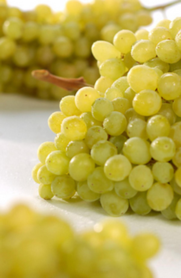 Produktfoto zu Trauben weiß