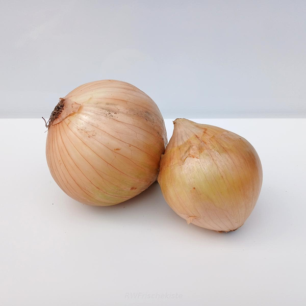 Produktfoto zu Gemüsezwiebeln