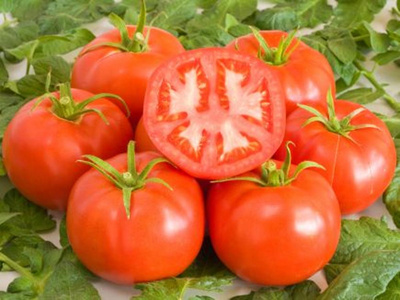 Produktfoto zu Fleischtomate St. Pierre