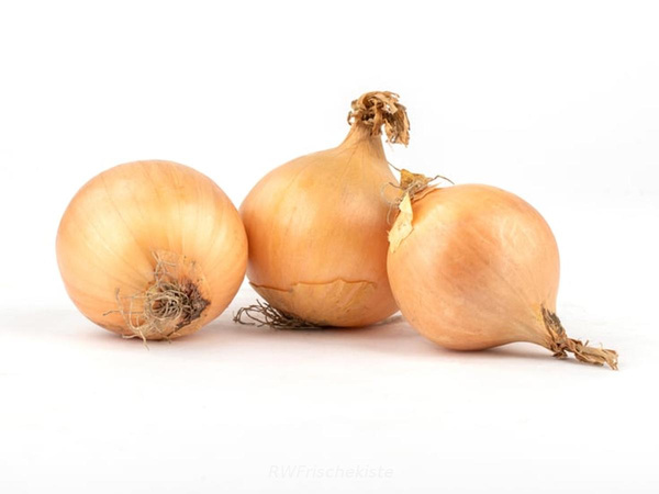 Produktfoto zu Zwiebeln gelb