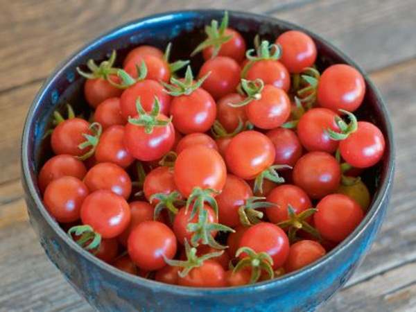 Produktfoto zu Wildtomaten Rote Murmel