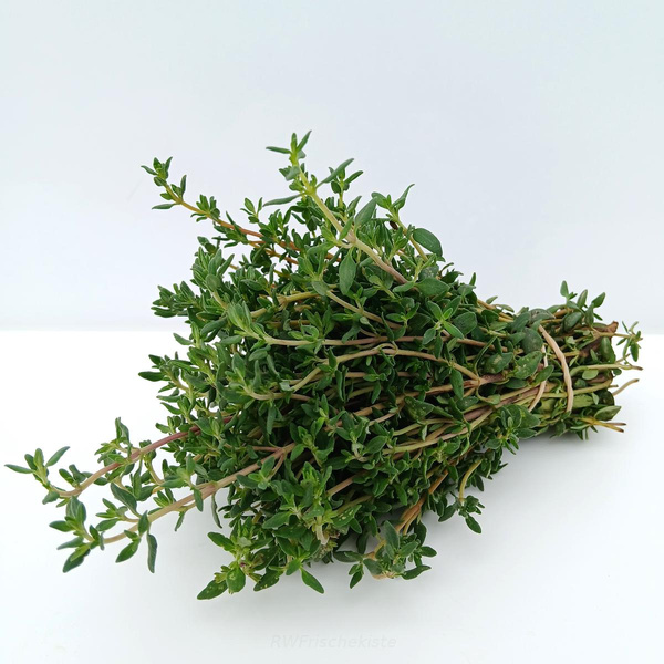 Produktfoto zu Thymian