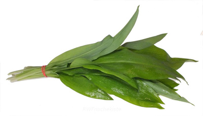 Produktfoto zu Bärlauch aus Wildsammlung