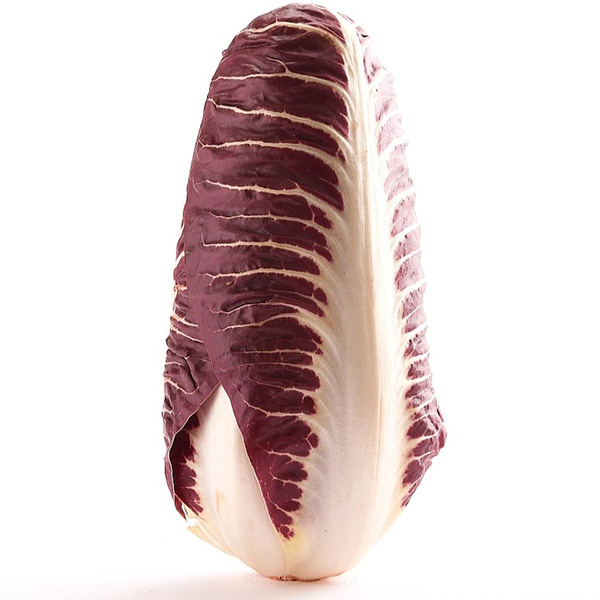 Produktfoto zu Radicchio Treviso
