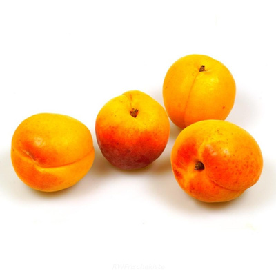 Produktfoto zu Aprikosen