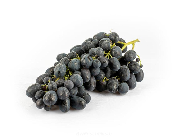 Produktfoto zu Black Magic Trauben blau