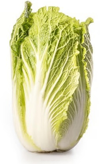 Produktfoto zu Chinakohl