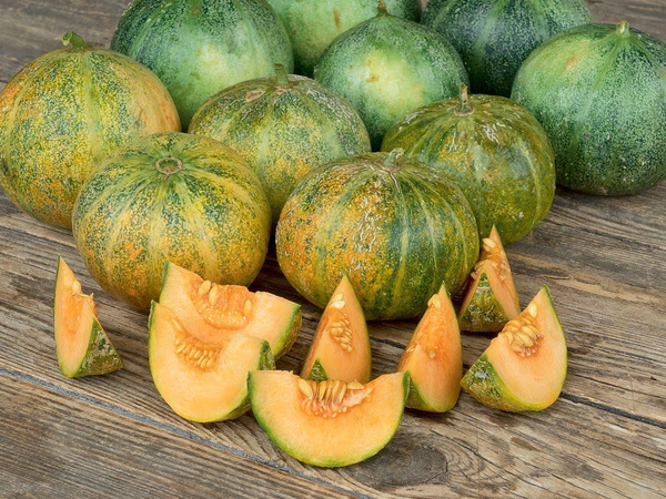 Produktfoto zu Melonen Petit gris de Rennes