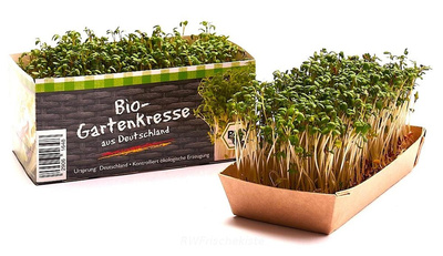 Produktfoto zu Kresse in Schale