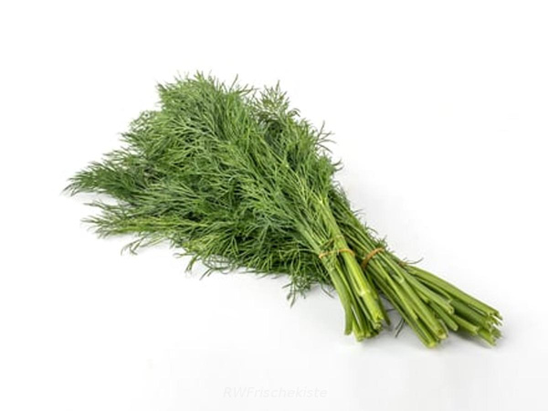 Produktfoto zu Dill