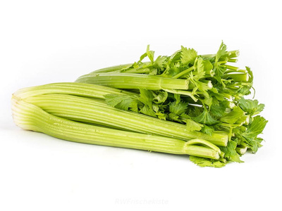 Produktfoto zu Staudensellerie Stück