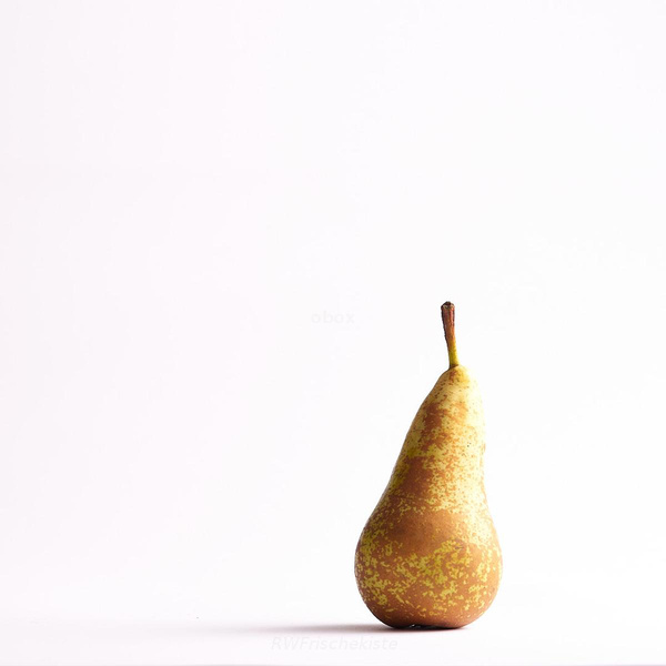 Produktfoto zu Birne Concorde