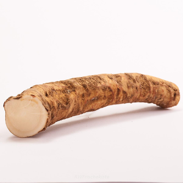 Produktfoto zu Meerrettich Wurzel