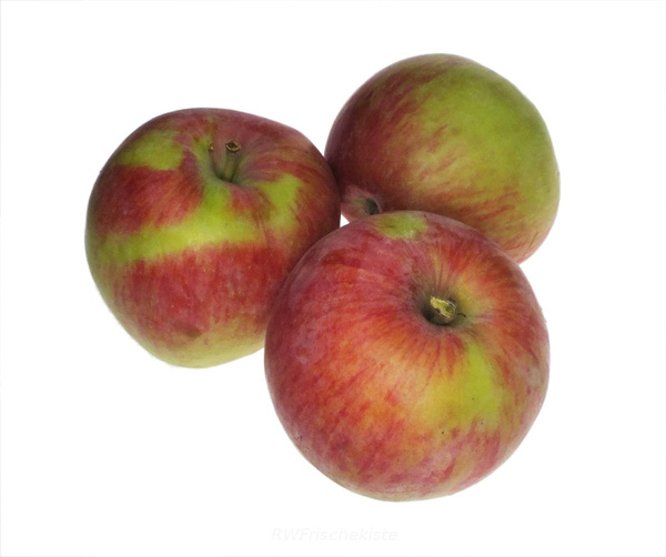 Produktfoto zu Allegro Apfel