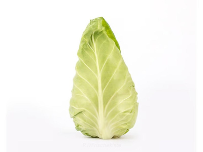 Produktfoto zu Spitzkohl