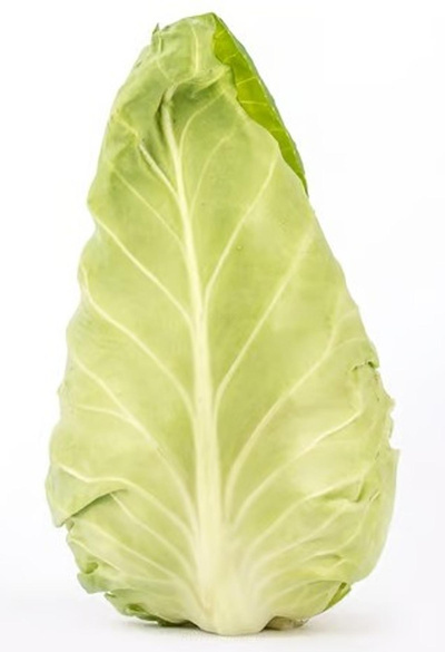 Produktfoto zu Spitzkohl