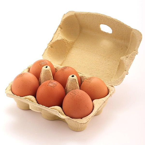 Produktfoto zu Breitenwegerhof Eier 6er Pack