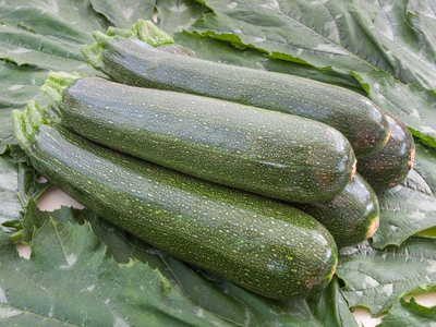 Produktfoto zu Zucchini Serafina