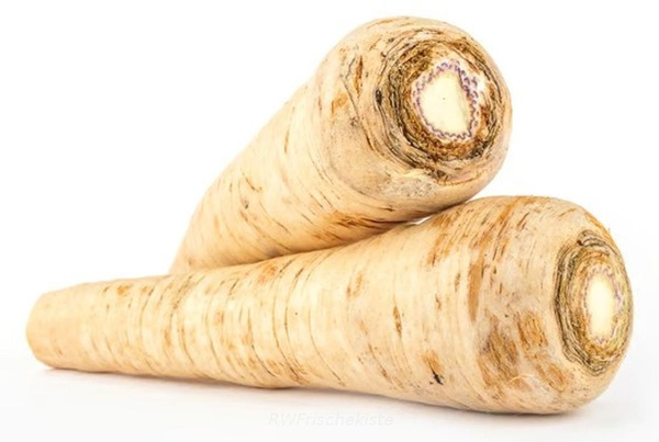 Produktfoto zu Wurzelpetersilie