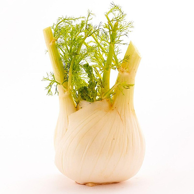Produktfoto zu Fenchel