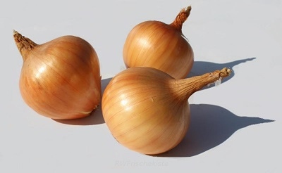 Produktfoto zu Zwiebeln gelb extra groß