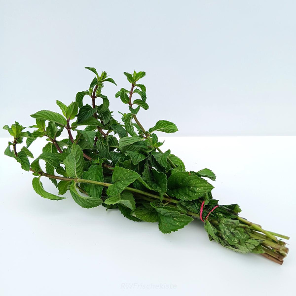 Produktfoto zu Pfefferminze Bd