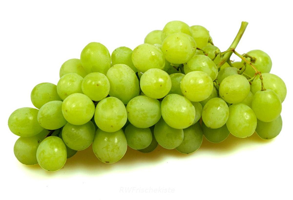 Produktfoto zu Trauben grün kernlos