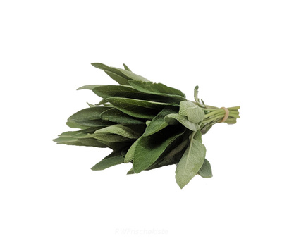Produktfoto zu Salbei Bund
