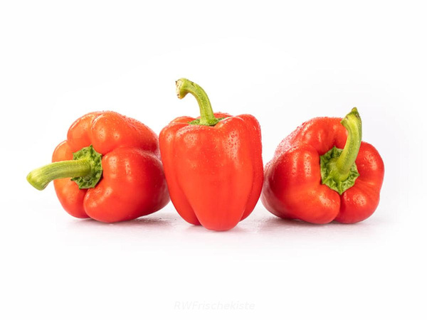 Produktfoto zu Paprika rot D