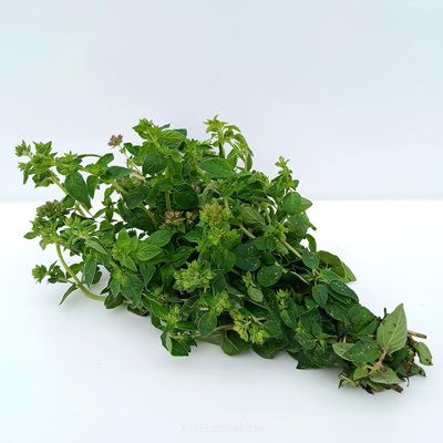 Produktfoto zu Oregano Bund