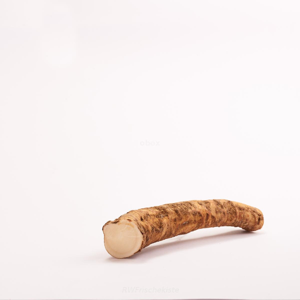 Produktfoto zu Meerrettich Wurzel