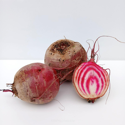Produktfoto zu Rote Bete Chioggia (gestreift)