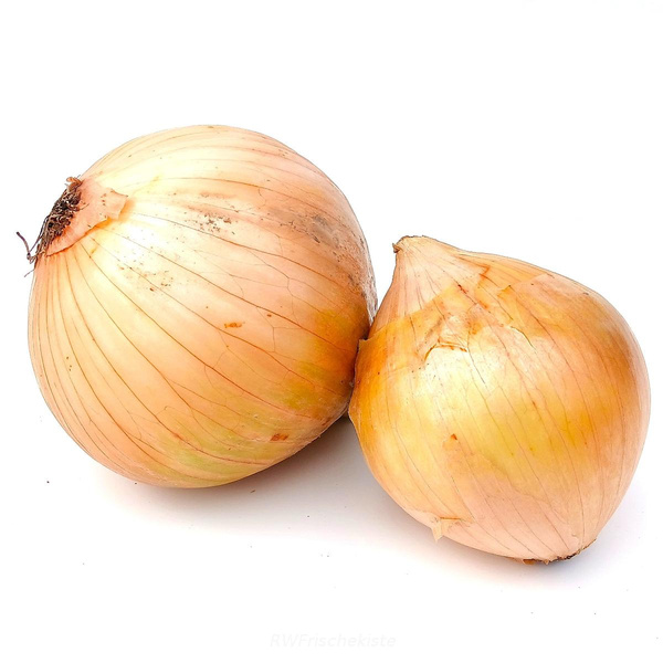 Produktfoto zu Gemüsezwiebeln