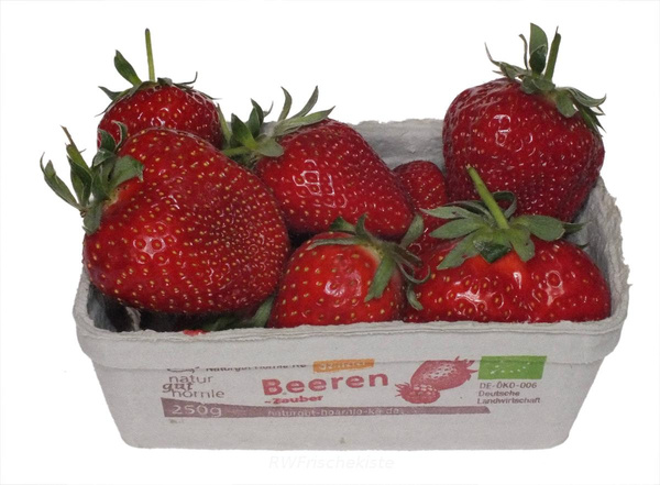 Produktfoto zu Erdbeeren 250g