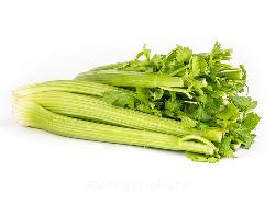 Produktfoto zu Kiste Staudensellerie 10x ca.300g